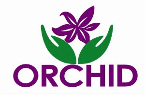 Orchid Pediatrics